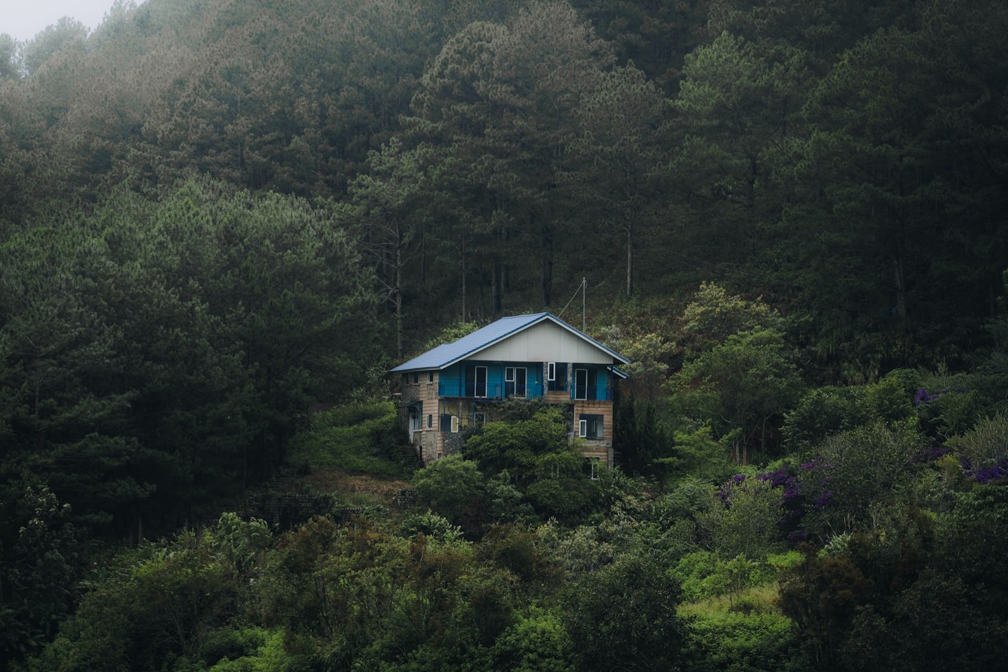 A Day in the Life of Solitude: Off-Grid Living